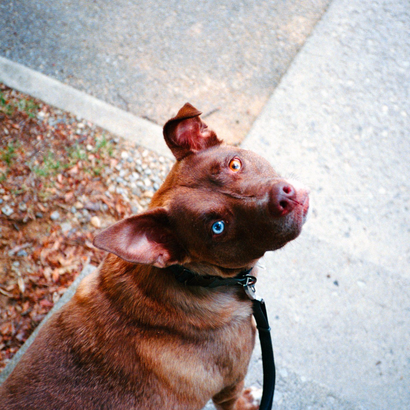 Maggie photo 1