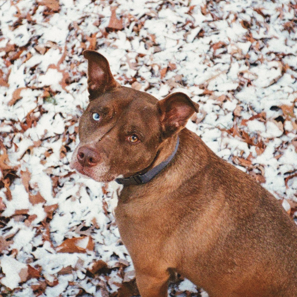 Maggie photo 2